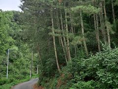 -北京山里寒舍度假酒店
