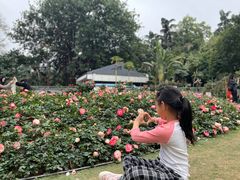 -人民公园(罗湖区)