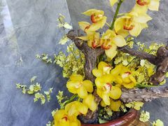 -华夏良子·足道SPA艾灸(铁道大厦店)