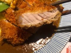 -堂本家·二代目·炸猪排(Express东海店)