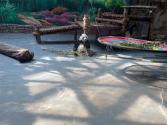 -青藏高原野生动物园