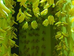 -福州奇幻解压馆(东泰禾旗舰店)