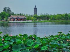 -西海子公园