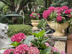 -马勒别墅饭店(静安寺店)