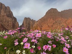 -天山神秘大峡谷