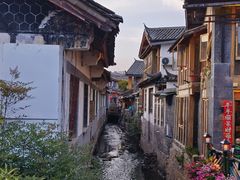 -菌自由丨野生菌火锅特色庭院餐厅(丽江古城店)