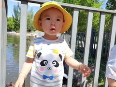 -新疆天山野生动物园