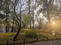 -国家植物园南园