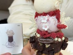 -哈根达斯(大洋百货店)