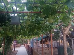 -亚龙湾红树林度假酒店-韩轩韩餐厅