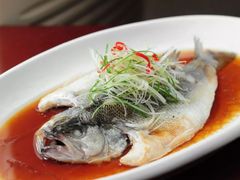 清蒸鱼-哈尔滨菜馆(马家园南街店)
