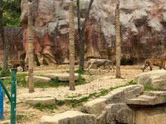 -无锡动物园·太湖欢乐园