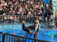 -华夏文旅海洋公园