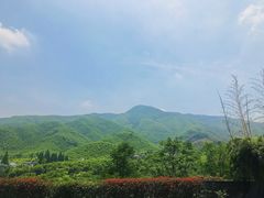 -莫干山风景区