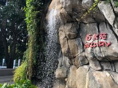 -九龙公园