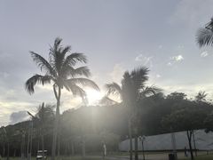 -野狸岛