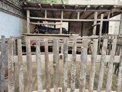 -清风小镇闯关东影视基地