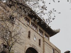 -武汉大学-樱园