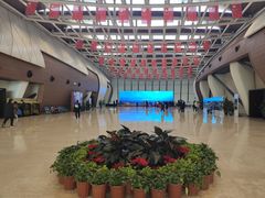 -贝林大翅鲸简餐厅(国家海洋博物馆店)