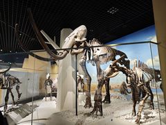 -国家自然博物馆