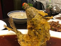 糖醋鲤鱼-老牌坊鲁菜名店(宽厚里店)