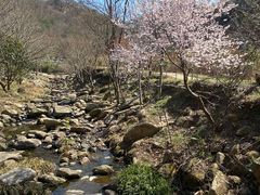 -武汉姚家山旅游景区