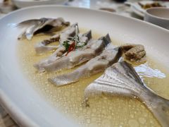 清蒸大白鲳-海味世家·家常菜馆(明州里店)
