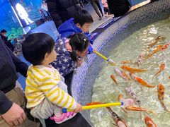 -烟台海昌鲸鲨海洋公园