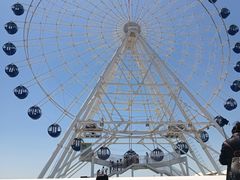 -秦皇岛乐岛海洋王国