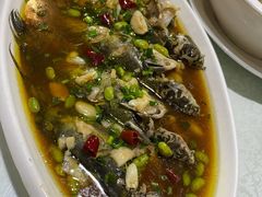 -呼吸森林·生态农庄农家乐私房菜