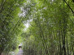 -神龙峡风景区