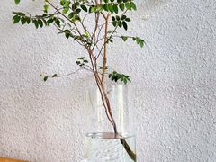 -漫笙舍Manse·咖啡·民宿