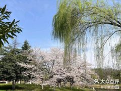 -堤角公园