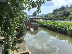 -荷塘味道(水长城店)