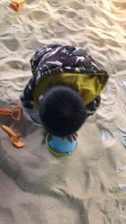 -恐龙探索乐园(磁器口店)