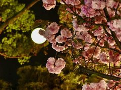 -山塘街