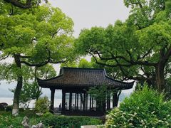 -杭州西湖柳莺里酒店·闻莺厅