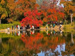 -西山人家·传统苏帮菜·家宴(木渎店)