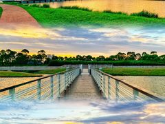 -春花秋色城市公园