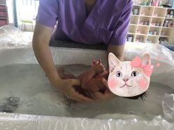 -明昇月子中心(番禺万达广场店)