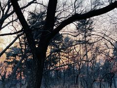 -长春市南湖公园