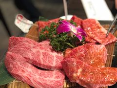 -俺的焼肉(銀座9丁目店)