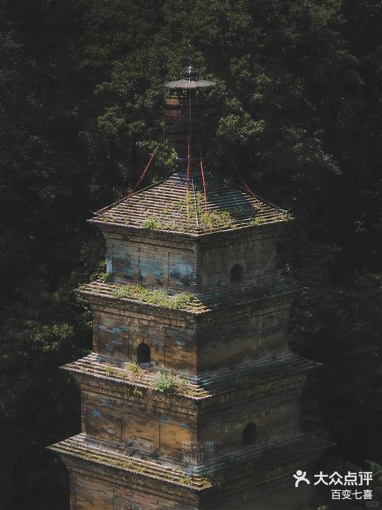 南五台圣寿寺释广宽图片