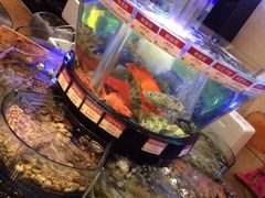 陶陶居海鮮酒家(新馬路店)-陶陶居海鲜酒家(新马路店)