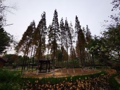 -河泥荡文化公园