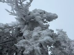 -武当山风景区
