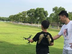 -漕湖湿地公园
