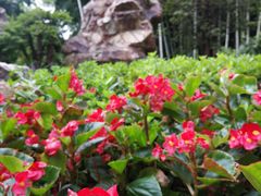 -荆川公园
