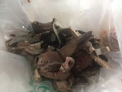 -洪记白水羊头(天坛店)