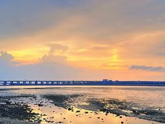 -宝安西湾红树林湿地公园